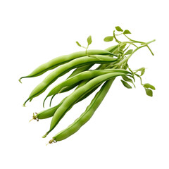 Poster - Sea beans on transparent background