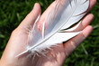 © ibragimova - feather on hand. a small fluffy white feather lies on the palm of a woman, close-up, top view, bird concept