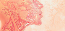 Illustration Of The Nerve Supply To The Nose And Throat, With Key Nerves Highlighted, On A Pale Rose Background