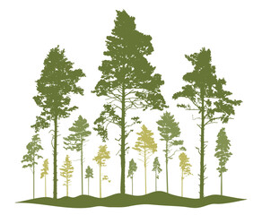 Wall Mural - Spring season, silhouette of coniferous forest, pine trees. Beautiful nature, woodland. Vector illustration