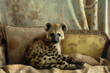 Hyena cub lounging on an ornate vintage sofa