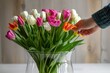 florist placing tulips in a glass vase
