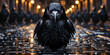 The majestic crow, rising above the dark asphalt in the night, like a symbol of secrets and rid