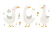 Set with geese and flowers. Vector illustration