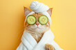 © Magryt - Cat relaxing in spa with cucumber slices on eyes. Cute cat in a bathrobe and turban on spa treatments after bath. Beauty procedures, wellness, relaxation concept. Pet grooming, domestic pets treatment