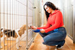 Latina woman feeds a dog at an animal shelter for adoption at a rescue center. Wellness, charity, and youth and women volunteering with an adoptive dog and pet at the local kennel.