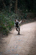 © Enric - Perro en su salsa