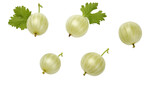 Gooseberry Collection: Fresh and Juicy Fruits in 3D Digital Art, Isolated on Transparent Background for Healthy Summer Designs