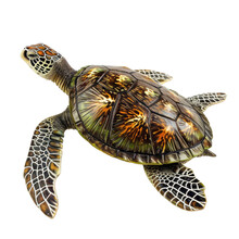 Green Sea Turtle With Patterned Shell Swimming Isolated
