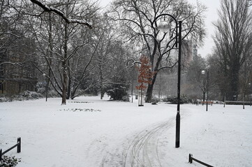 Poster - Bochenheimer Anlage in Frankfurt im Winter