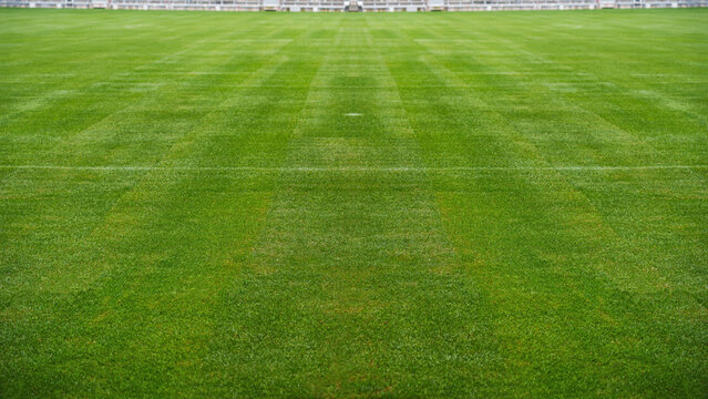textured natural soccer game field - center, midfield