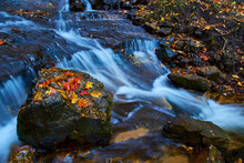 Autumn Leaves On Mossy Rock In Silky Woodland Stream