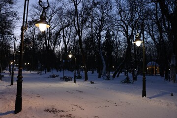 Wall Mural - Trees, street lamps and pathway covered with snow in evening park