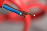 Fototapeta  - Colorful electrical wire on blurred background, closeup. Space for text