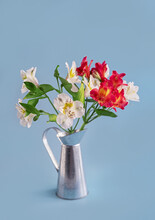 Bouquet Of White And Red Alstroemerias In A Metal Jug On A Blue Background. Vertical Cropping. Copy Space.