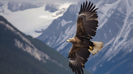  Majestic Bald Eagle in Flight with Mountain Backdrop