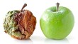 old apple vs fresh apple isolated on white background