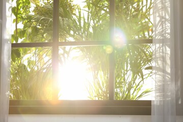 Wall Mural - Beautiful view through window on garden in morning