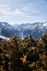 View from top of slope on snow capped high mountains. Karakol ski resort in Kyrgyzstan. Winter natural landscape, mountain range, Brown bushes in the foreground. Frozen river in gorge.