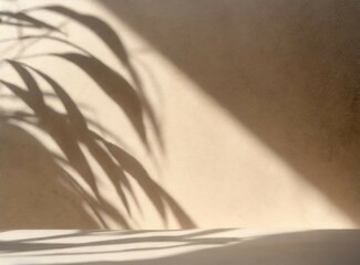 Canvas Print - Empty room wall with shadow of plants. Summer design. Space for display and/or copy.