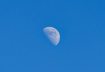Wall Mural - The waning moon in the evening in winter with blue sky