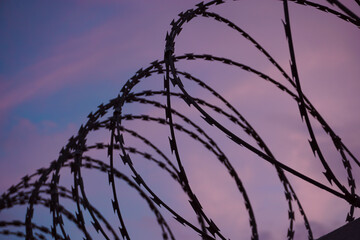 Fence with a barbed wire