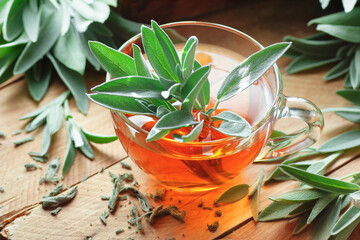 Clary sage  tea in glass cup with fresh leaves on wooden rusric table, closeup, naturopathy, skincare, stress treatment concept