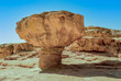 Stone mushroom in the desert