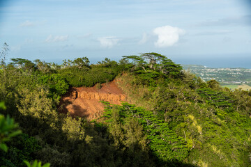 Sticker - hawaiian landscape 