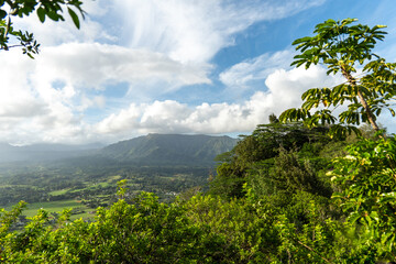 Sticker - hawaiian landscape 