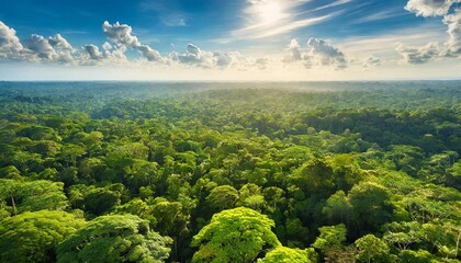 Wall Mural - green forest in the morning the diverse amazon forest seen from above a tropical illustration