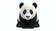 Adorable 3D panda rendered on a pristine white background. Perfect for any project needing a touch of cuteness and charm.