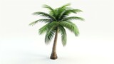 Fototapeta Desenie - A stunning 3D rendered icon of a palm tree, exuding a serene tropical vibe, proudly standing against a pristine white background. Perfect for bringing a touch of paradise to your designs, pr