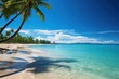Beautiful sea sand landscape with palm tree shadow tropical paradise background