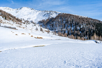 Wall Mural - Winter landscape with snow covered Dolomites in Kronplatz, Italy