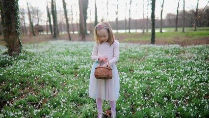 Wall Mural - Six year old girl playing egg hunt on Easter. Child sitting on the grass with many snowdrop flowers and gathering colorful eggs in basket. Little kid celebrating Easter outdoors in park or forest