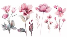 Watercolor Flowers Set On White Background, In The Style Of Accurate And Detailed, Pink, Soft Realism, Focus Stacking