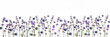 Abstract banner with lavender flowers and blueberries on white background. Spring, summer, nature background.