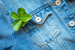 Close-up of a green leaf in a blue denim jacket pocket. A concept of sustainable slow fashion, circular economy, eco friendly clothing