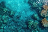 Fototapeta Do akwarium - Aerial View of a Coral Reef in the Ocean, An aerial view of coral reefs under sparkling turquoise sea water, AI Generated