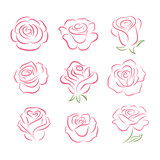 Fototapeta Pokój dzieciecy - Set of rose flower design elements