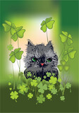 Fototapeta  - spring composition with a cat and clover