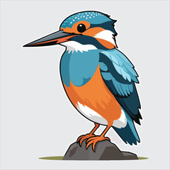 Poster - vector of kingfisher 