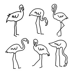 Wall Mural - Set of abstract flamingos. Line drawing minimalist design. Hand drawn art.