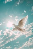 Fototapeta  - A white bird is seen flying gracefully through a sky filled with fluffy blue clouds