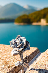 Wall Mural - Details of a stone rose at reservoir Lake Sylvenstein, Lenggries, Bad Toelz-Wolfratshausen, Bavaria, Germany