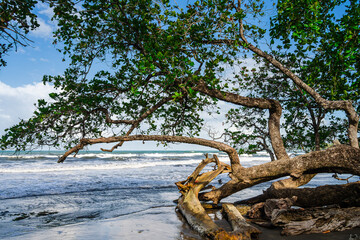 Sticker - Cahuita, Costa Rica