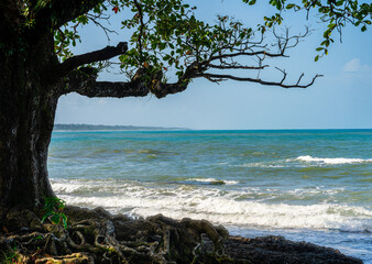 Sticker - Cahuita, Costa Rica