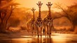Vertical landscape with herds of Giraffes and group of antelopes in the natural habitat, view of wildlife in savannah of Africa. Wild African animals on a waterhole in Namibia.