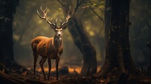 Barasingha Deer In The Nature Habitat In India. Beautiful And Big Deers In The Dark Forest. Indian Wildlife And Very Rare Animals. Barasinga Deers